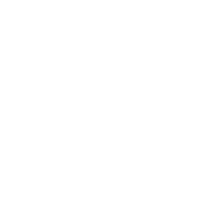 Cleversoft logo white