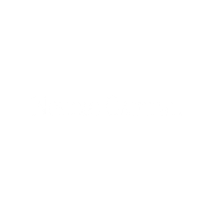 Nordic Capital logo
