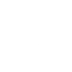 Virtruvian Partners logo